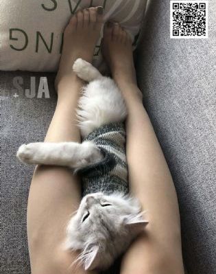 蔷薇风暴1至42集免费看_BD国语全集免费播放