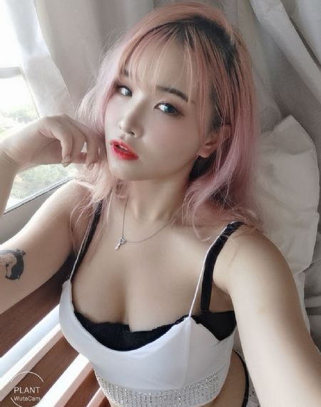 非枪人生_BD英语电影在线看