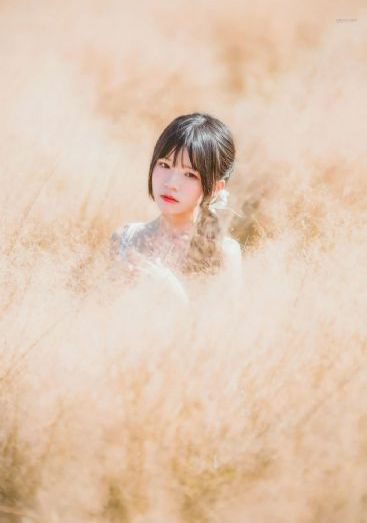 女仆窝免费主线_手机在线免费观看