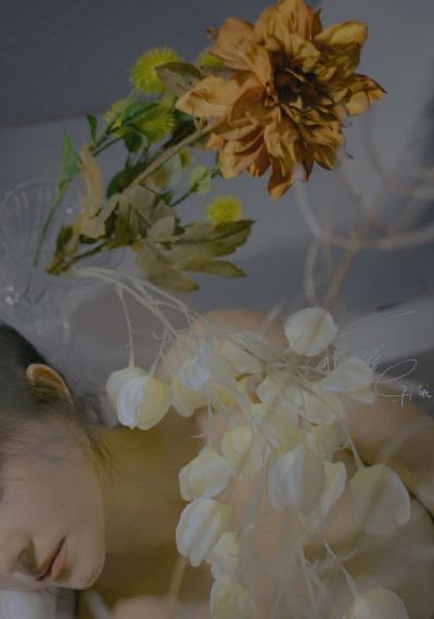 美人如画电视剧免费观看完整版_高清免费观看电视剧