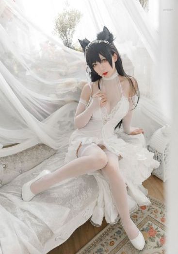 向前生活第七季在线观看全集_1080超清免费观看